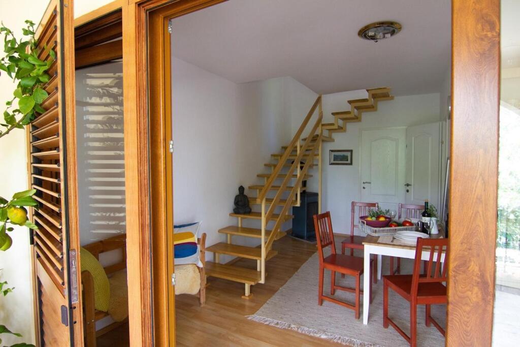 Smokvica - Feigenbaum Apartment Kornić Екстериор снимка